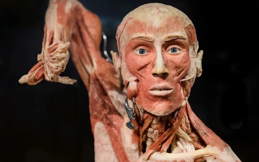 Amsterdam Body Worlds Exhibition Tickets