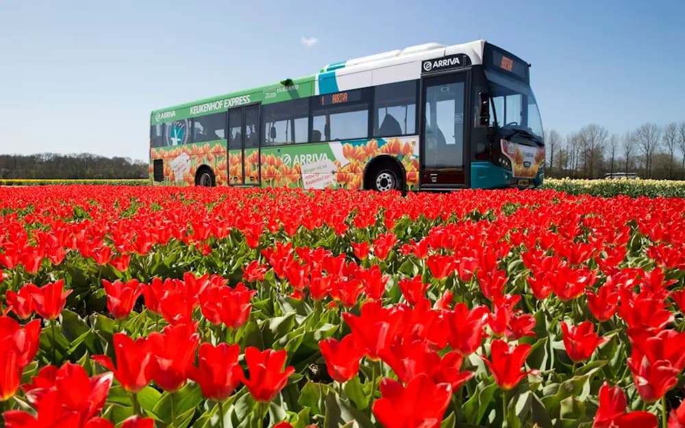 Amsterdam and Region Travel Tickets