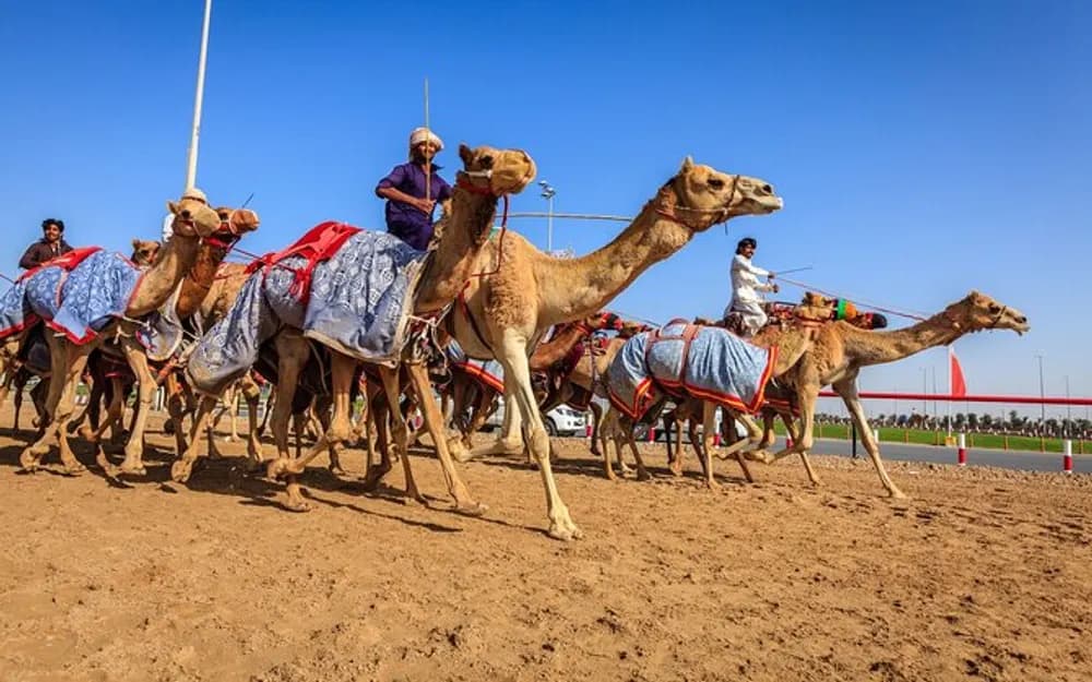 Al Ain Day Trip from Abu Dhabi