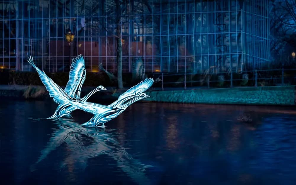Amsterdam Light Festival Canal Cruise