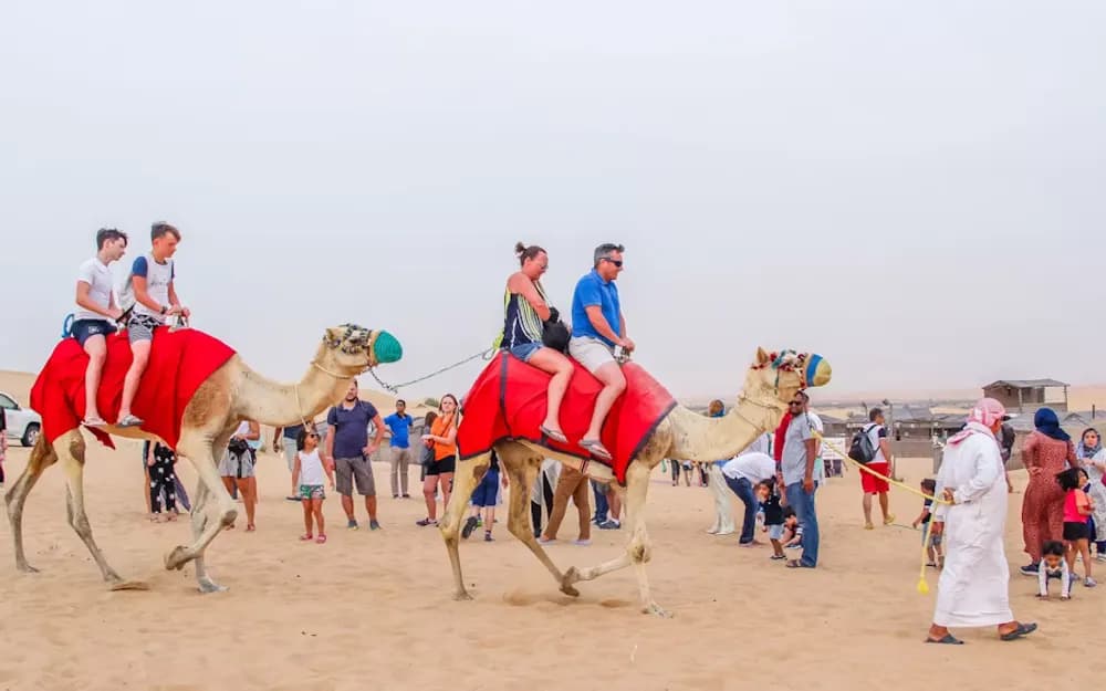 Desert Safari, Camel Ride, Show and Dinner in Dubai