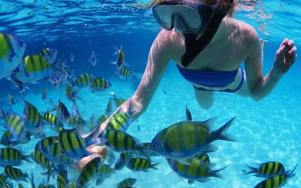 Snorkeling Trip to Fujairah from Dubai