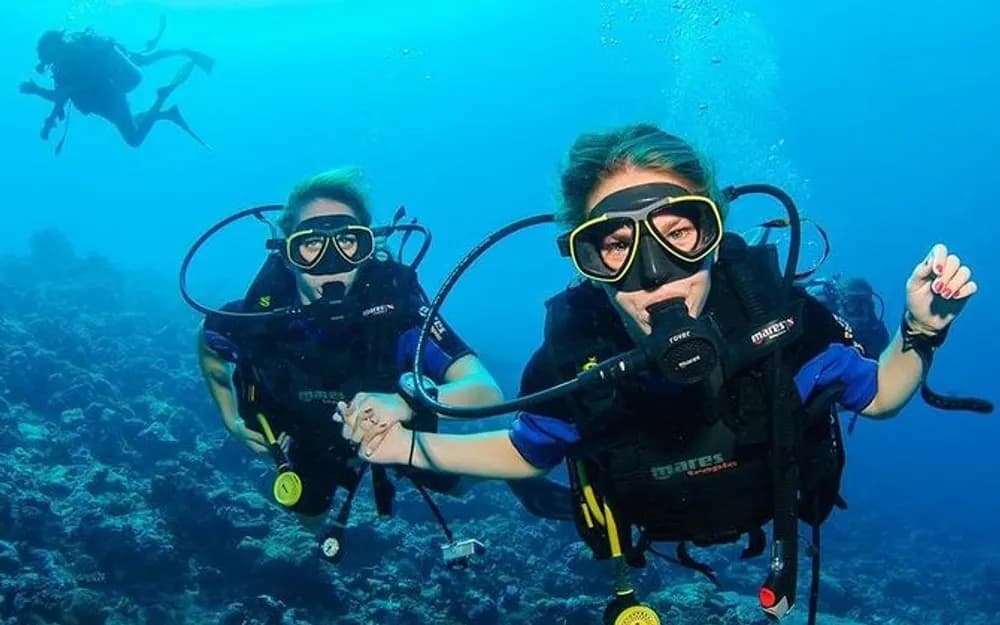 Diving Trip to Fujairah from Dubai