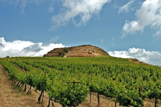 Crete Olive Oil and Wine Tour