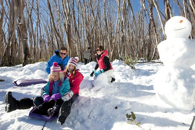 Lake Mountain Snow Trip from Melbourne