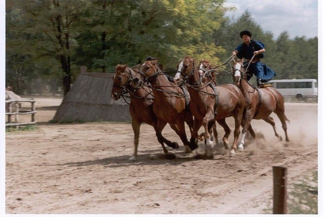 Puszta Day Trip from Budapest with Equestrian Show