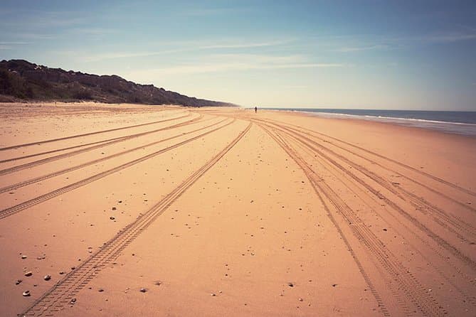 Doñana Natural Park Day Trip from Seville