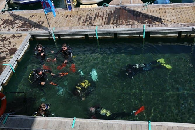 Fuerteventura Beginners Scuba Diving Experience