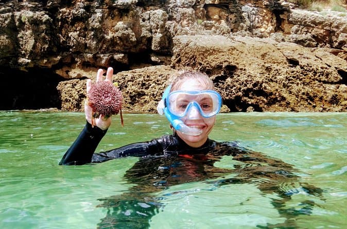 Snorkeling Trip To Arrabida from Lisbon