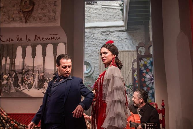 Seville Flamenco Show in Casa de la Memoria