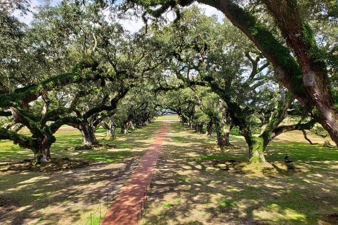 Oak Alley or Laura Plantation Day Trip from New Orleans