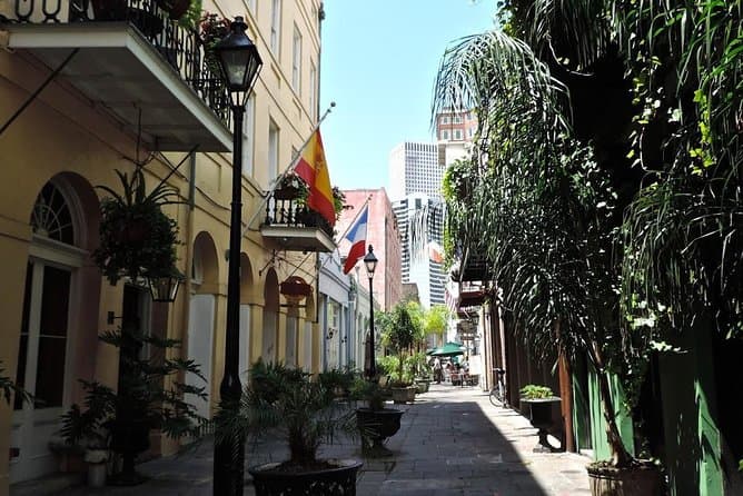 New Orleans Minibus Tour with Cemetery Stop