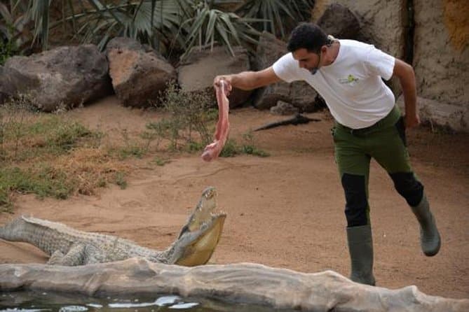 Gran Canaria Cocodrilo Park Tickets