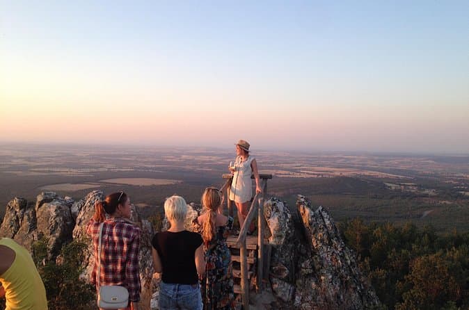 Ribera del Duero Small Group Day Trip from Madrid