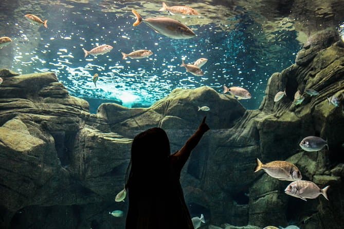 Heraklion CRETAquarium Tickets