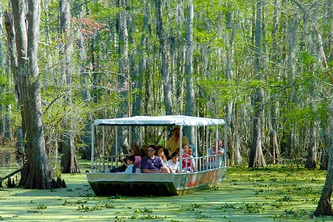New Orleans Honey Island Swamp Boat Tour