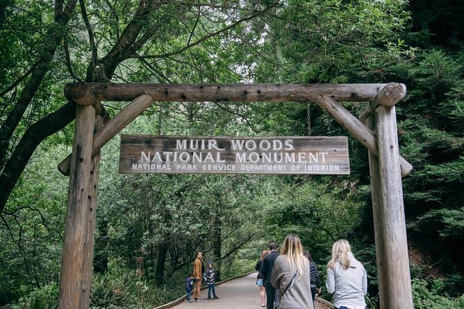 Muir Woods Wine Trip from San Francisco
