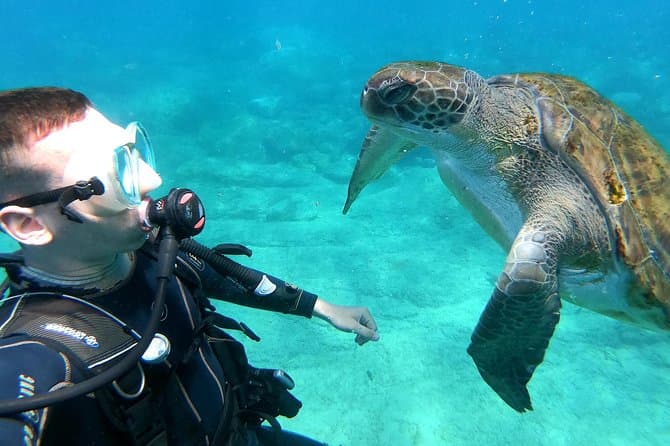 Tenerife Costa Adeje Beginners Scuba Diving Lesson