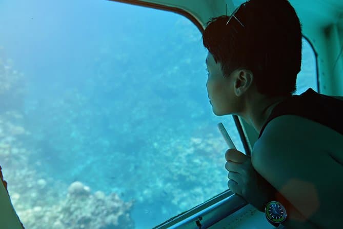 Fuerteventura Glass Bottom Boat Cruise