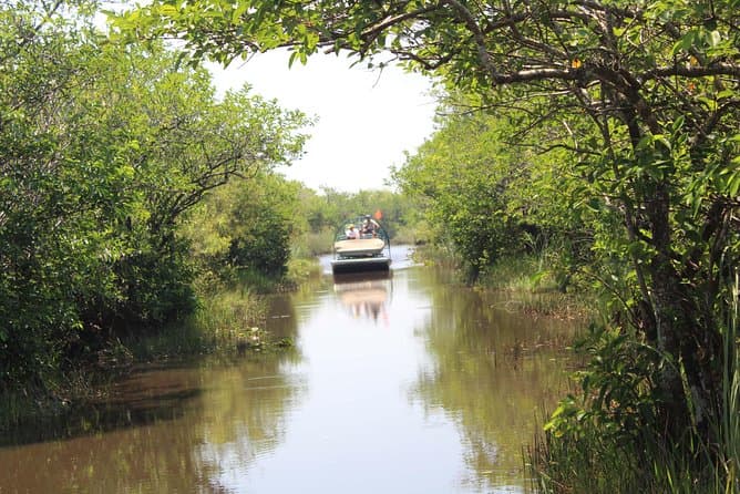 Miami City and Everglades Tour