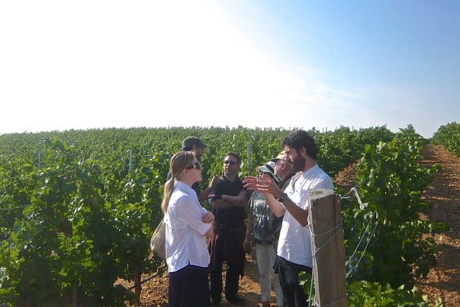 Wineries Tour from Madrid