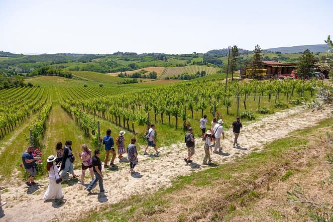 Pisa, Siena and San Gimignano Day Trip from Florence with Optional Pisa Leaning Tower Tickets