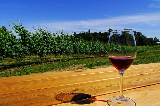 Vancouver Winery Tour