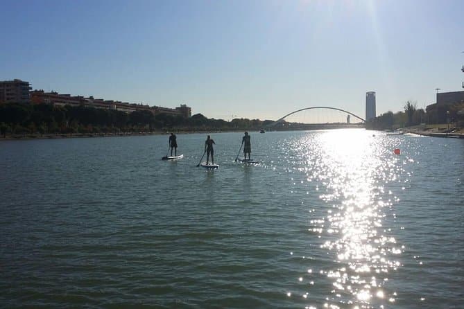 Seville Paddle Surf Rental