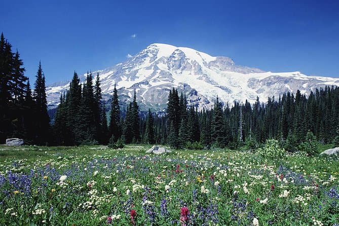 Mount Rainier Day Trip from Seattle