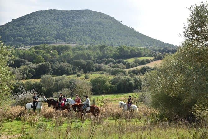 Mallorca Horse Ride