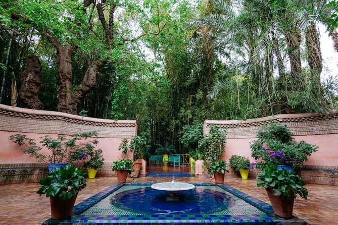 Marrakech Majorelle Gardens and Palmeraie Tour