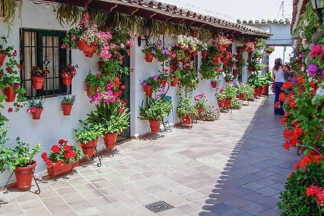 Cordoba Patios Guided Tour