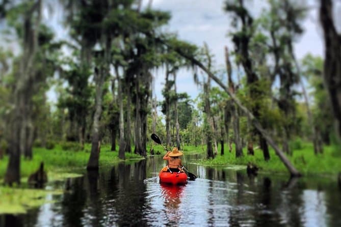 New Orleans Manchac Swamp Kayak Day Trip