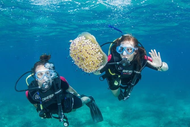 Crete Beginners Scuba Diving Lesson