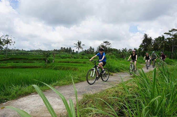 Bali Kintamani Bike Tour