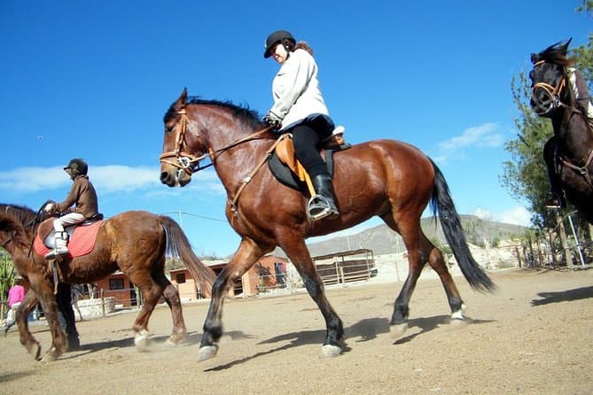 Fuerteventura Horseback Riding