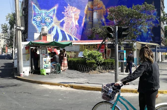 Mexico City Street Art Tour by Bike