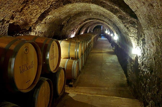 Ribera del Duero Wine Tour from Madrid
