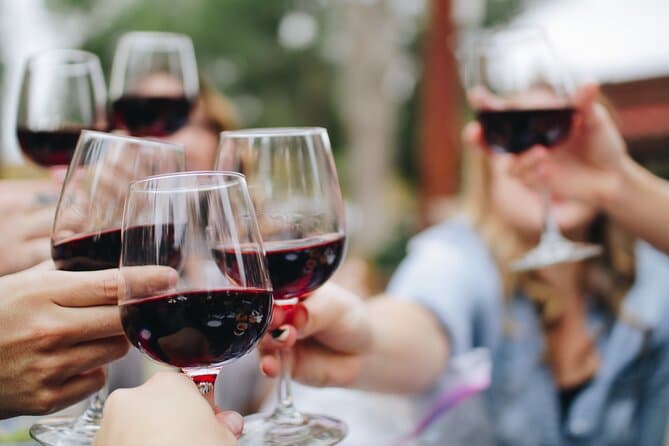 Ribera del Duero Wineries Private Day Trip from Madrid