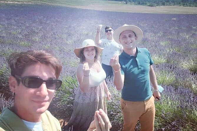 Sault Lavender Tour from Avignon