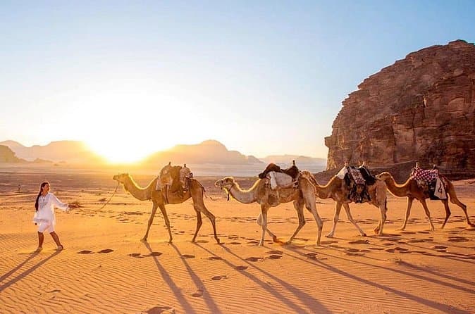 Zagora Desert 2-day Private Trip from Marrakech