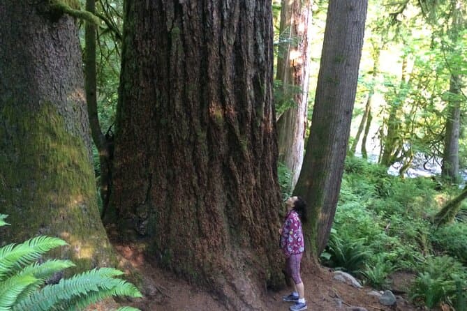 Seattle Waterfalls Hiking Experience