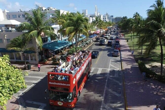 Miami Sightseeing Bus Tour and Cruise