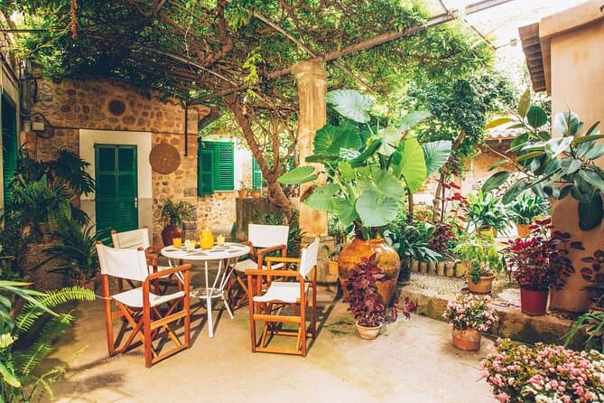 Mallorca Olive Grove Tour with Olive Oil Tasting