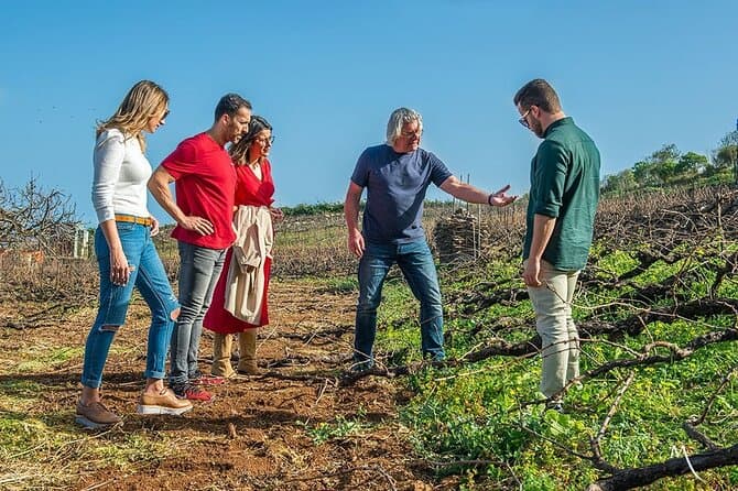 Tenerife Monje Winery Tour