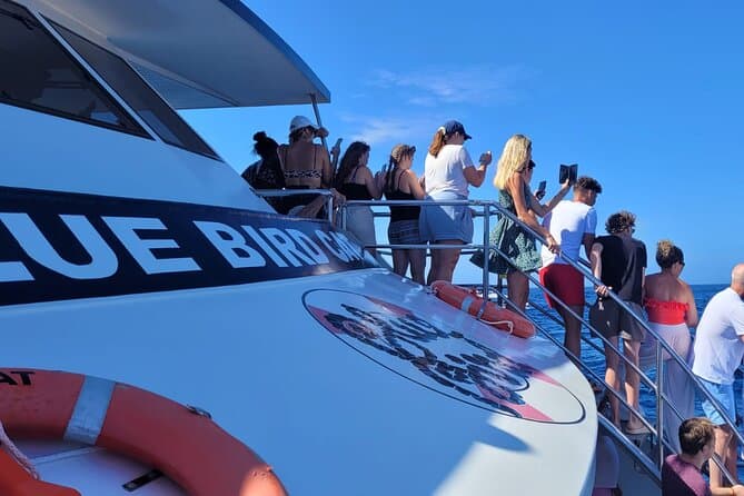 Gran Canaria Dolphin Watching Tour with Snorkel