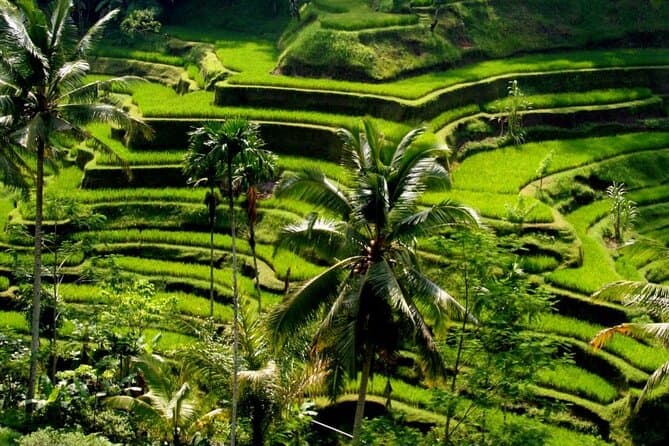 Bali Traditional Villages Tour