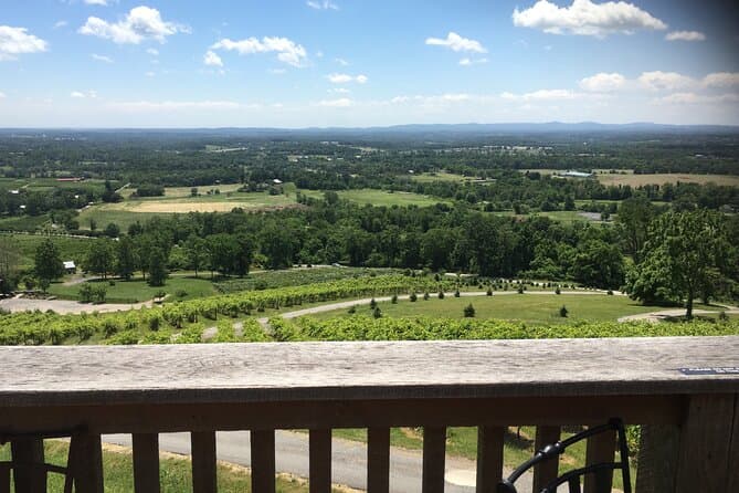 Loudon County Private Day Trip from Washington with Wine Tasting