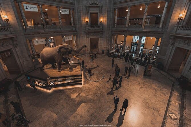 Private Guided Tour of 2 Washington DC Museums: Natural History and American History