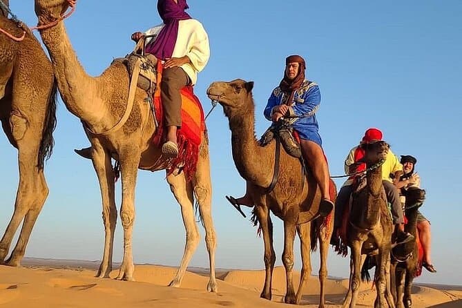 Zagora Desert and Ait-Ben Haddou 2-day Trip from Marrakech